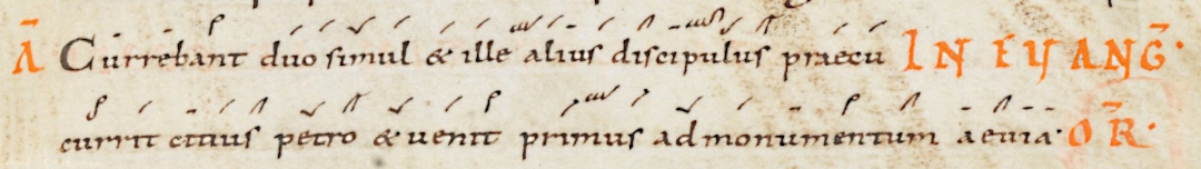 Antienne Currebant duo